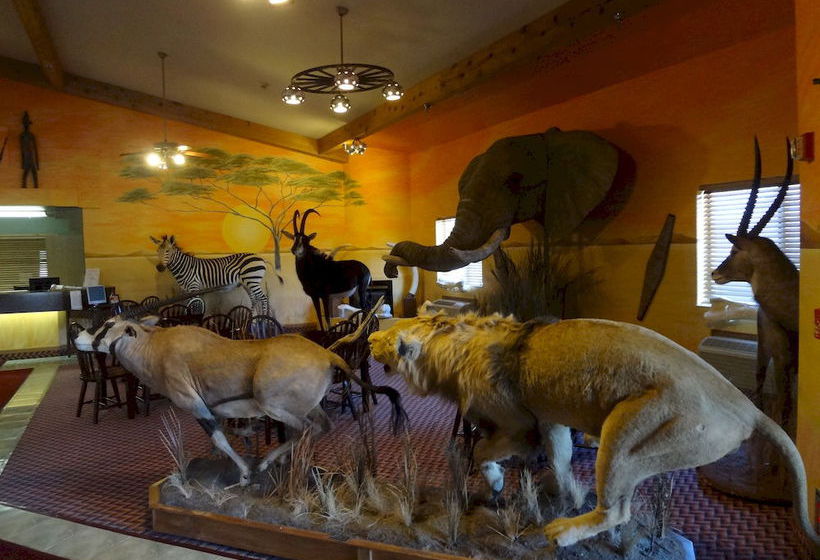 Hotel Kings Inn Cody  | Cody | Wyoming | United States 11