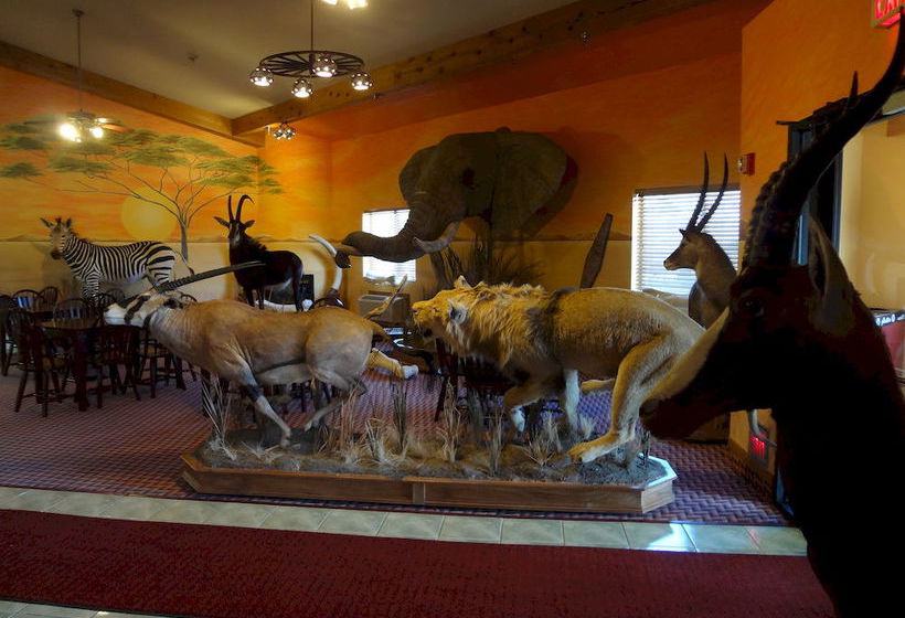 Hotel Kings Inn Cody  | Cody | Wyoming | United States 12