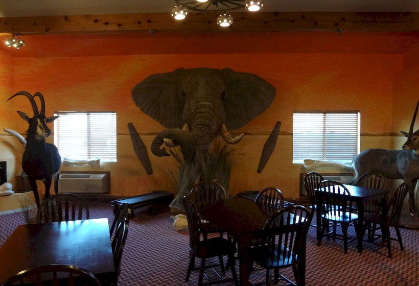 Hotel Kings Inn Cody  | Cody | Wyoming | United States 17