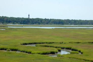 Hotel Best Western Plus Chincoteague Island  | Chincoteague Island | Virginia | United States 13