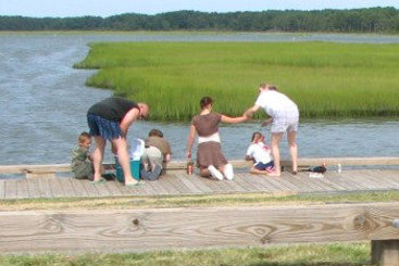 Hotel Best Western Plus Chincoteague Island  | Chincoteague Island | Virginia | United States 16