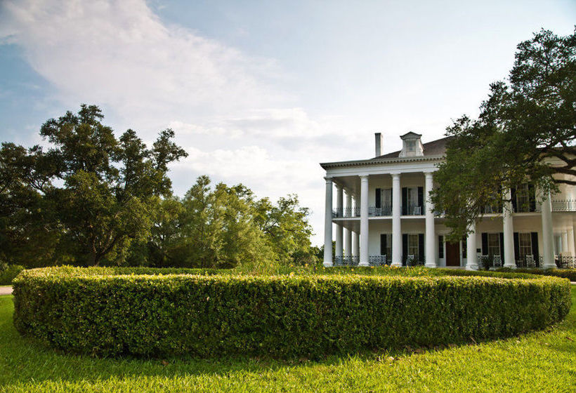 Hotel Dunleith Plantation  | Natchez | Mississippi | United States 10