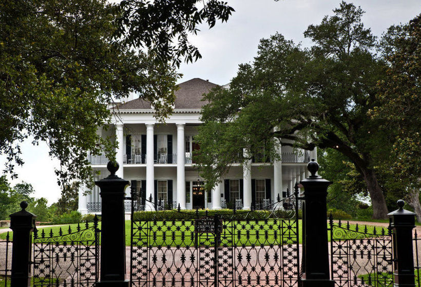 Hotel Dunleith Plantation  | Natchez | Mississippi | United States 8