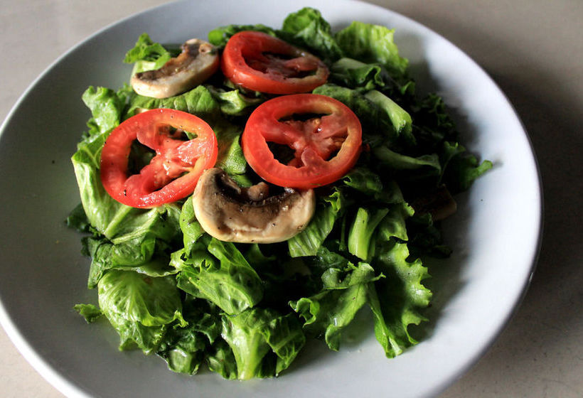 Hotel Trailerpark & Cabañas Mecoloco Inn - Caravan Park  | Cancún | Quintana Roo | México 18