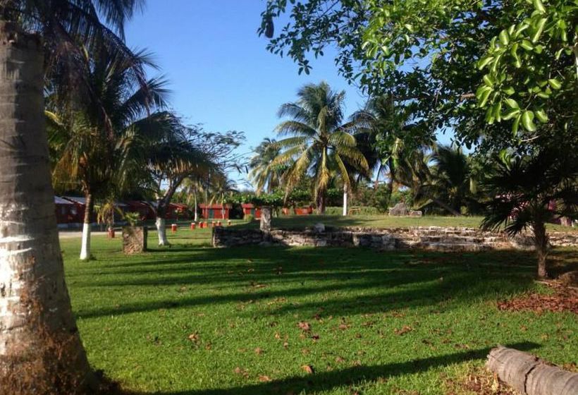 Hotel Trailerpark & Cabañas Mecoloco Inn - Caravan Park  | Cancún | Quintana Roo | México 2