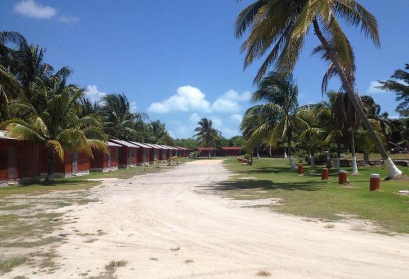 Hotel Trailerpark & Cabañas Mecoloco Inn - Caravan Park  | Cancún | Quintana Roo | México 3