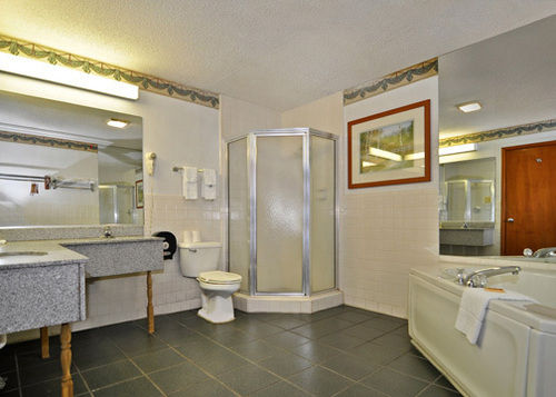 Hotel Econo Lodge Inn, & Suites Albany Albany