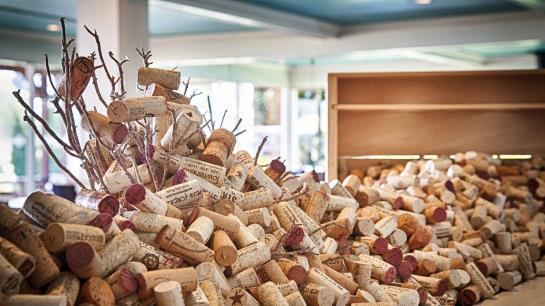 Best Western Edgewater Resort  | Sandpoint | Idaho | United States 8