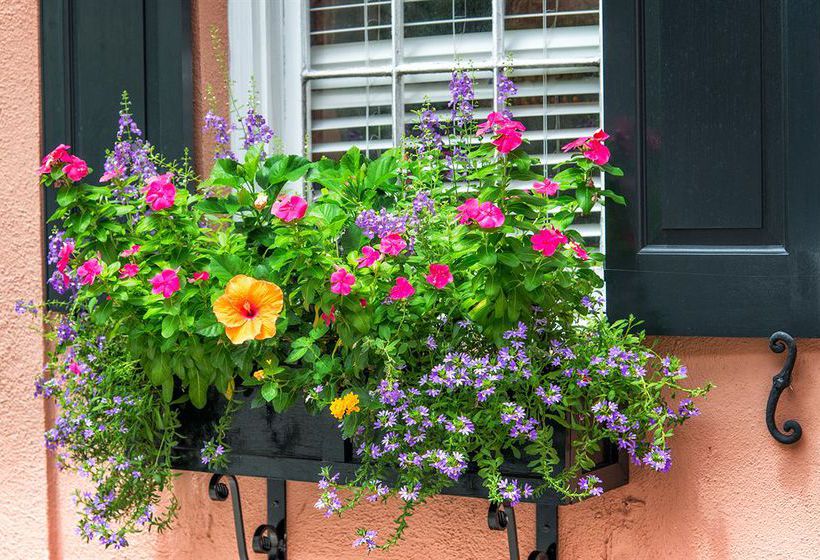 Bed and Breakfast The Elliott House Inn  | Charleston | South Carolina | United States 6