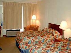 Hotel Wyndham Garden Atlanta Downtown  | Atlanta | Georgia | United States 3