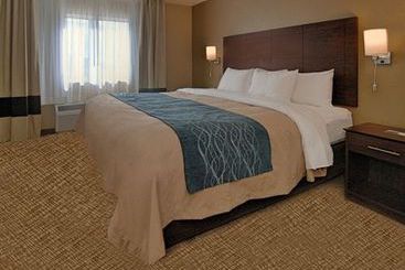 Hotel Comfort Inn & Suites Waterloo Cedar Falls  | Waterloo | Iowa | United States 11
