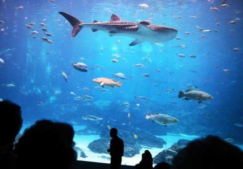 Hotel Fairfield Inn by Marriott Atlanta  | Kennesaw | Georgia | Hotel negli Stati Uniti 10