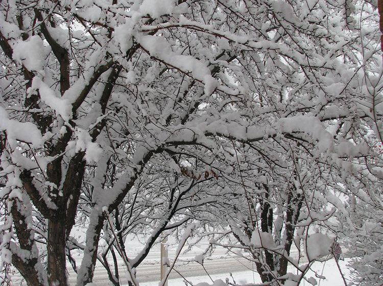 Hotel Frontier Lodge  | Glenwood Springs | Colorado | United States 11