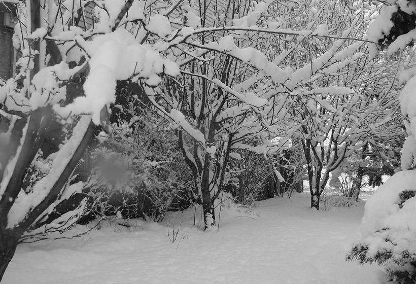 Hotel Frontier Lodge  | Glenwood Springs | Colorado | United States 12