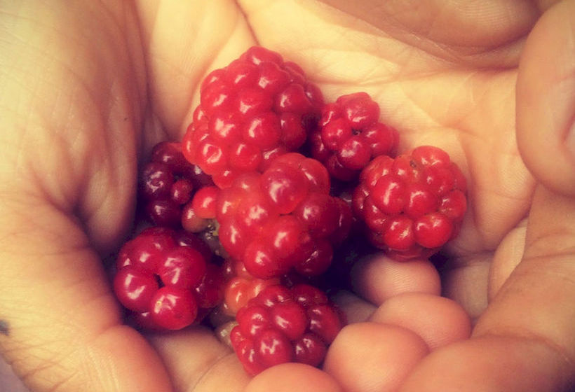 Habitat Suites Hotel  | Austin | Texas | United States 11