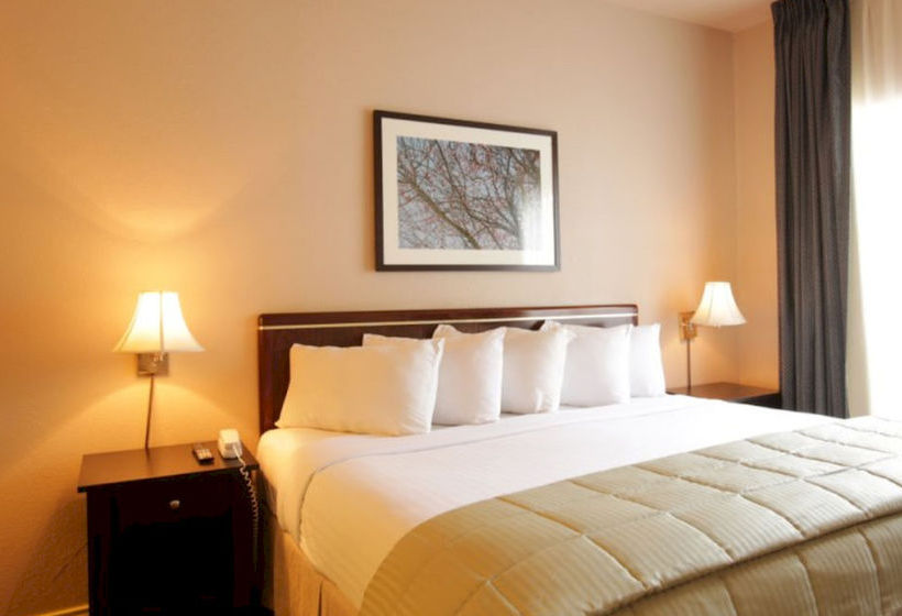 Habitat Suites Hotel  | Austin | Texas | United States 16