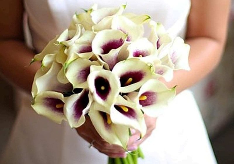 Hotel Hampton Inn High Point  | High Point | North Carolina | United States 20