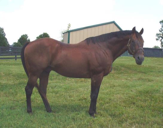 Hotel Hampton Inn Lexington Georgetown  | Georgetown | Kentucky | United States 11