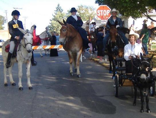 Hotel Hampton Inn Lexington Georgetown  | Georgetown | Kentucky | United States 14