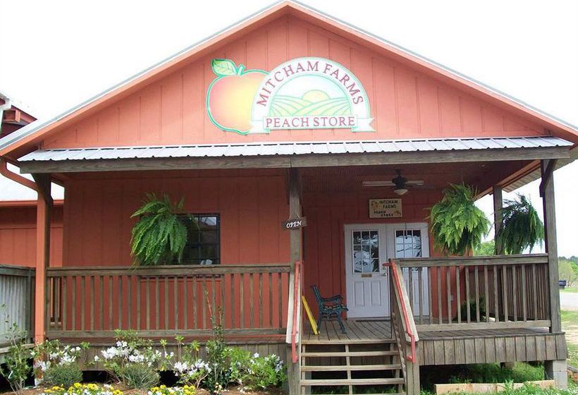 Hotel Hampton Inn Ruston  | Ruston | Louisiana | United States 7