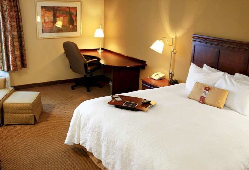 Hotel Hampton Inn Sumter  | Sumter | South Carolina | United States 14