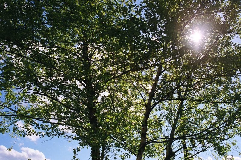 Hotel Hampton Inn Staunton 