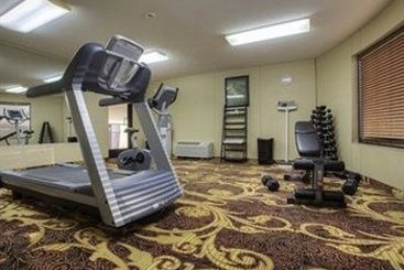 Hotel Hampton Inn Paris Ky Lake Area  | Paris | Tennessee | United States 11