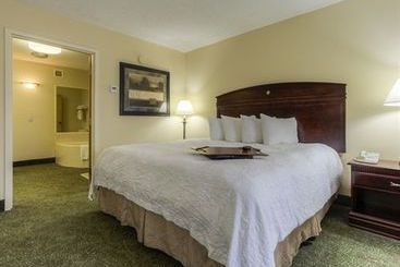 Hotel Hampton Inn Paris Ky Lake Area  | Paris | Tennessee | United States 18