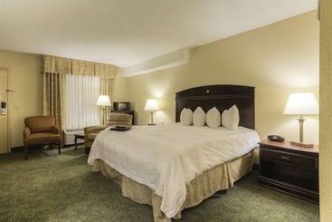 Hotel Hampton Inn Paris Ky Lake Area  | Paris | Tennessee | United States 20
