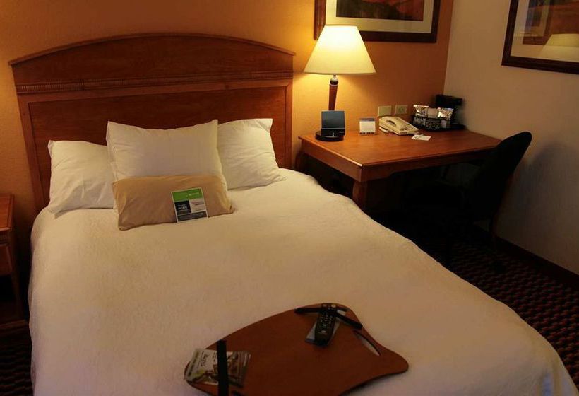 Hotel Hampton Inn Rochester  | Rochester | Minnesota | United States 10