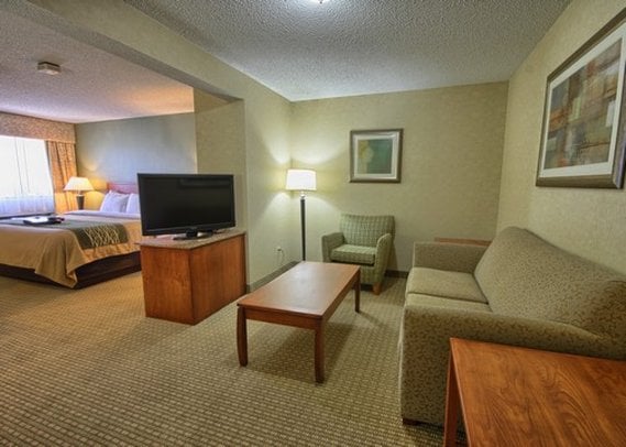 Hotel Comfort Inn Near Greenfield Village  | Dearborn | Michigan | United States 11