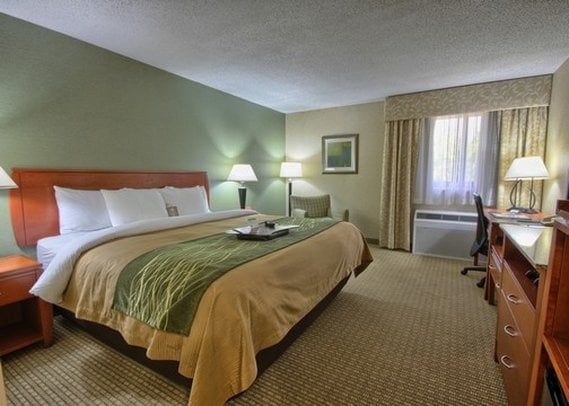 Hotel Comfort Inn Near Greenfield Village  | Dearborn | Michigan | United States 18