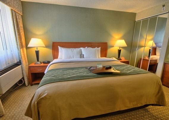 Hotel Comfort Inn Near Greenfield Village  | Dearborn | Michigan | United States 19