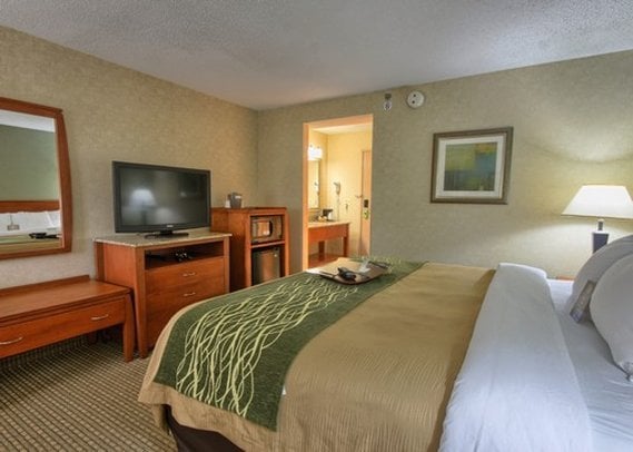 Hotel Comfort Inn Near Greenfield Village  | Dearborn | Michigan | United States 8