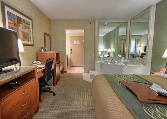 Hotel Comfort Inn Near Greenfield Village  | Dearborn | Michigan | United States 9