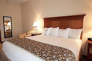 Hotel Baymont Inn & Suites Gainesville  | Alexandria | Louisiana | United States 5