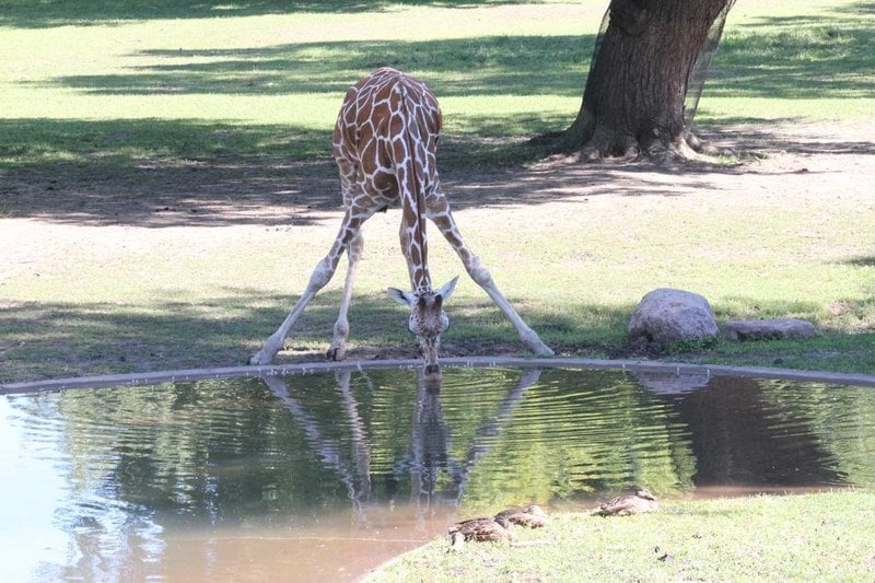 Hotel Hampton Inn Sioux Falls  | Sioux Falls | South Dakota | United States 18