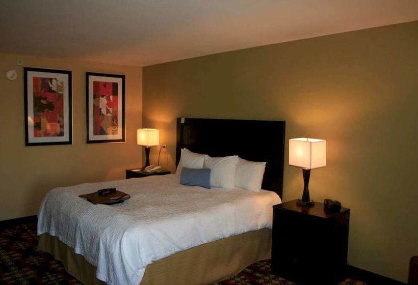 Hotel Hampton Inn Killeen  | Killeen | Texas | United States 7