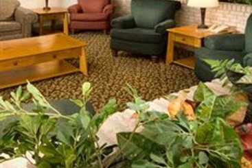Hotel Pear Tree Inn - McAllen, TX  | Mcallen | Texas | United States 3
