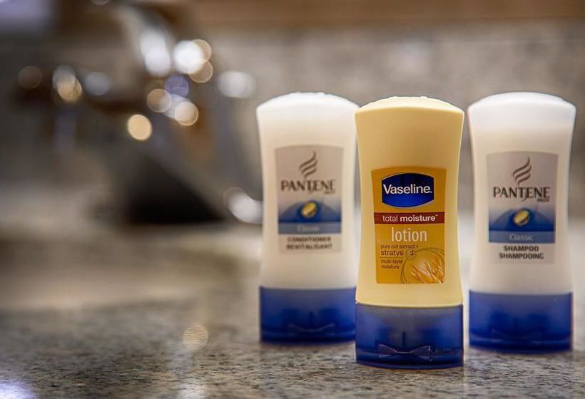 Hotel Hampton Inn Norfolk Portsmouth Chesapeake  | Chesapeake | Virginia | United States 20