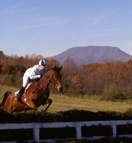 Hotel Hampton Inn Lexington-Historic District  | Lexington | Virginia | United States 7