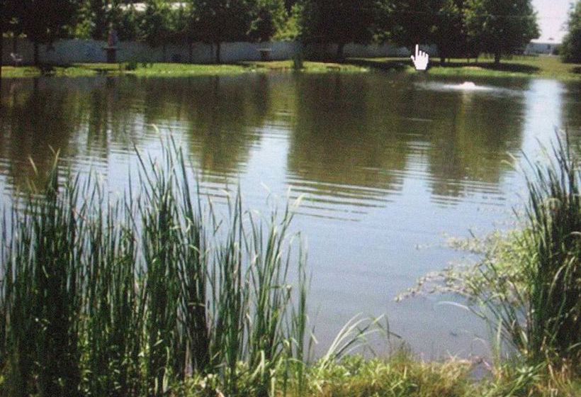 Hotel Hampton Inn Franklin  | Franklin | Kentucky | United States 6