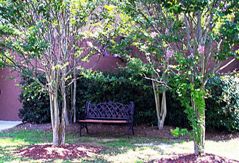 Hotel Hampton Inn Cartersville  | Cartersville | Georgia | United States 1