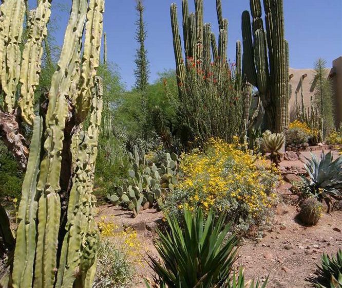 Hotel Hampton Inn Phoenix-Airport North  | Phoenix | Arizona | United States 5