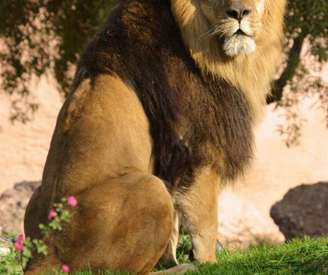 Hotel Hampton Inn Phoenix-Airport North  | Phoenix | Arizona | United States 8