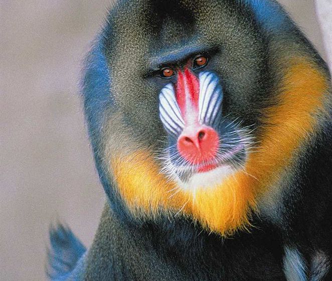 Hotel Hampton Inn Phoenix-Airport North  | Phoenix | Arizona | United States 9