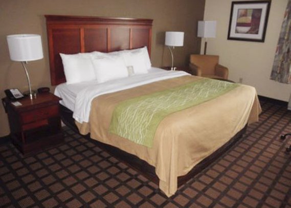 Hotel Comfort Inn Cleveland  | Cleveland | Mississippi | United States 6