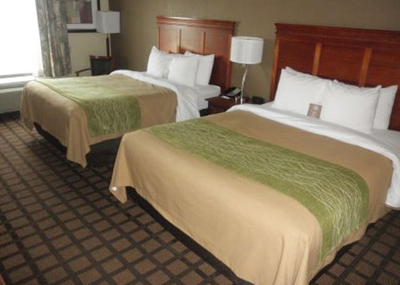 Hotel Comfort Inn Cleveland  | Cleveland | Mississippi | United States 7