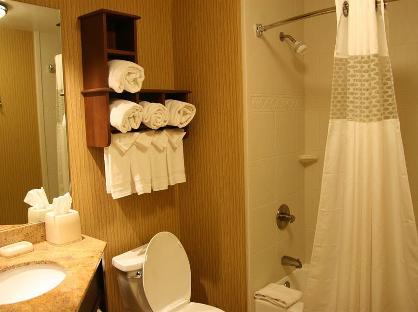 Hotel Hampton Inn Clemson  | Clemson | South Carolina | United States 11