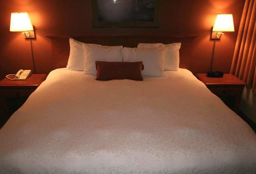 Hotel Hampton Inn & Suites Flagstaff  | Flagstaff | Arizona | United States 8